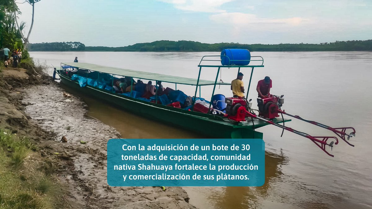 Programa Bosques tweet media