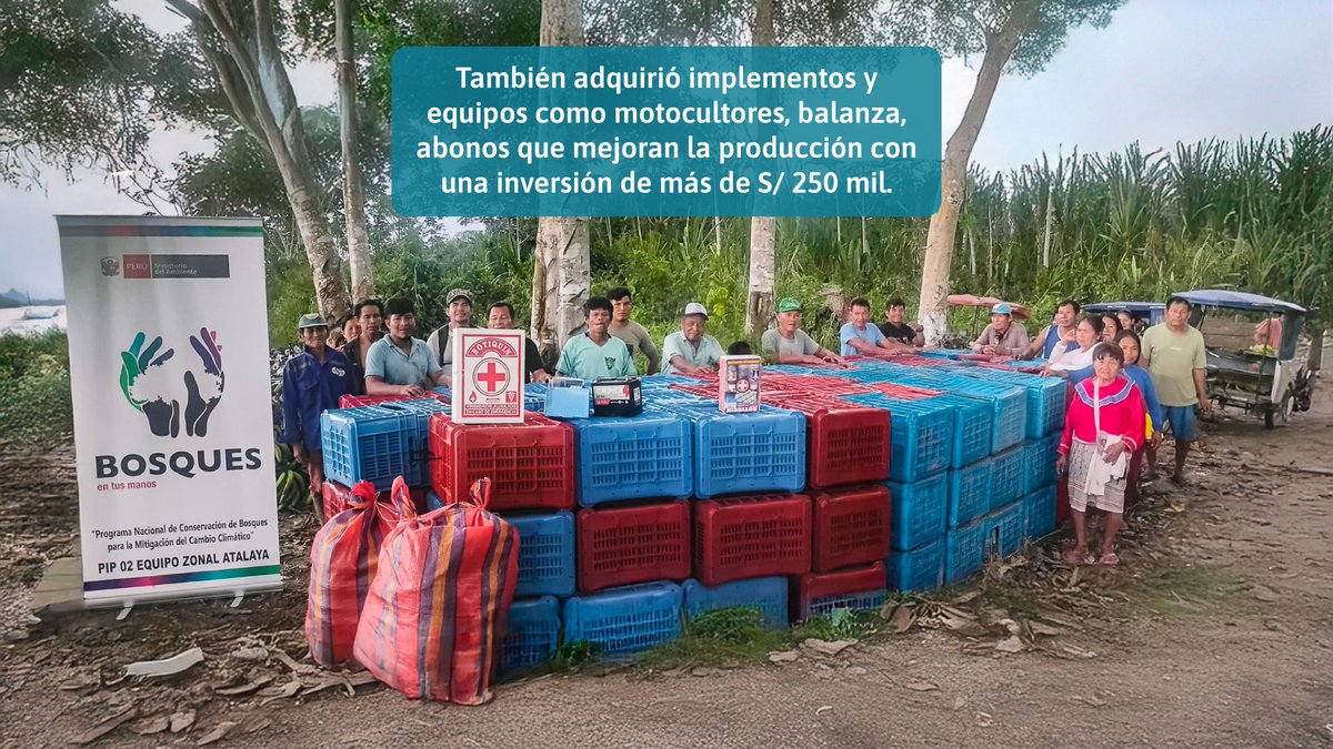 Programa Bosques tweet media