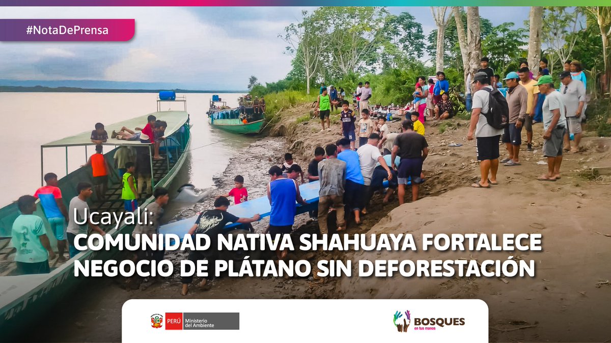 Programa Bosques tweet media