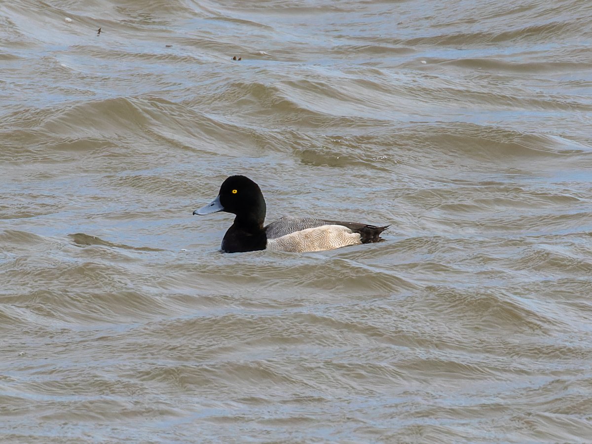 Pete Sutton tweet media