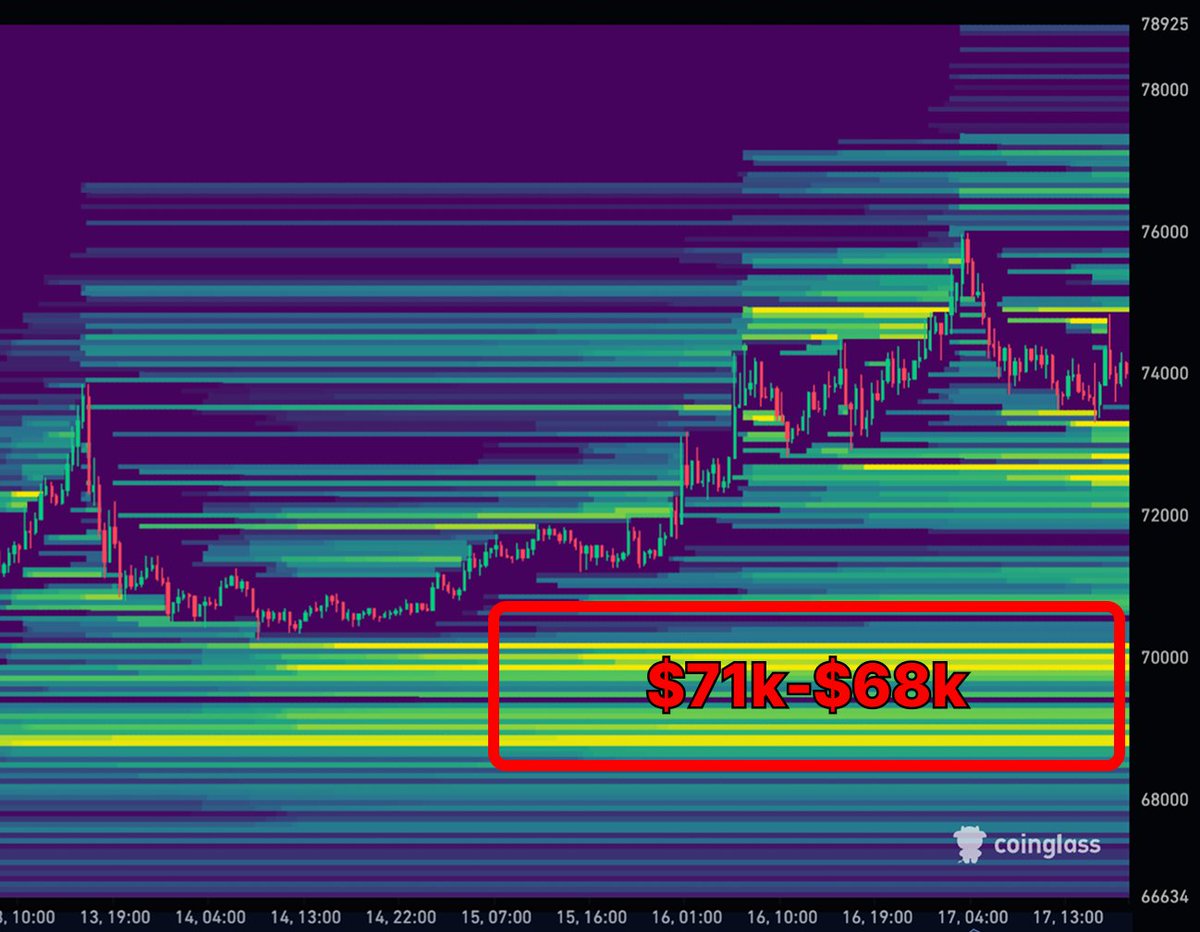 Aralez 🐕 tweet media