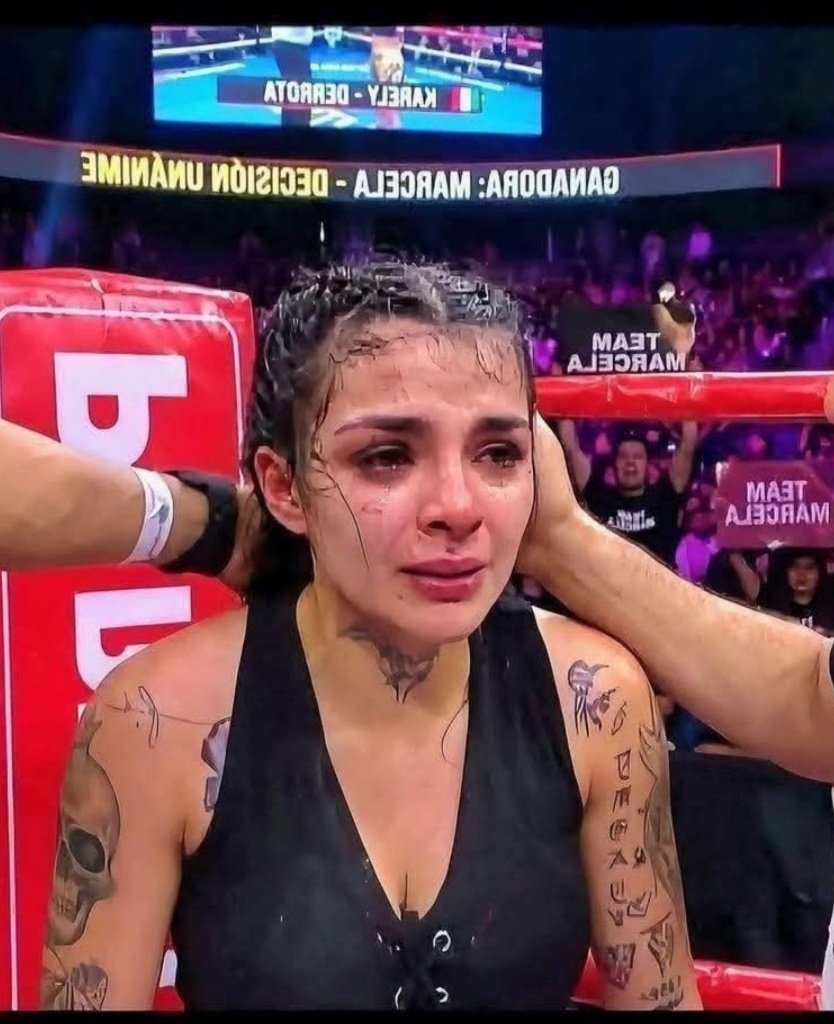 Mr. Flipy tweet media