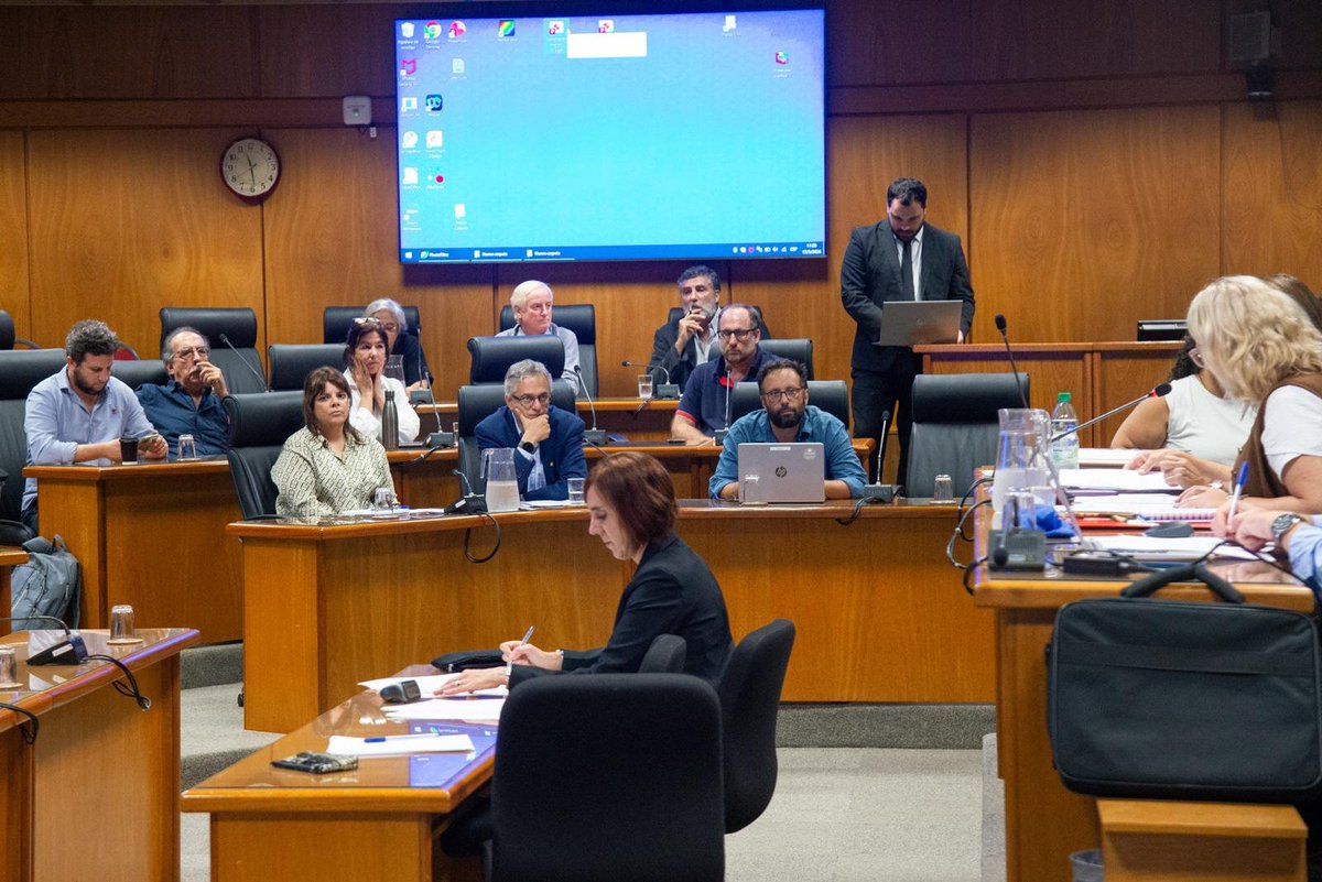 Fernanda Auersperg tweet media