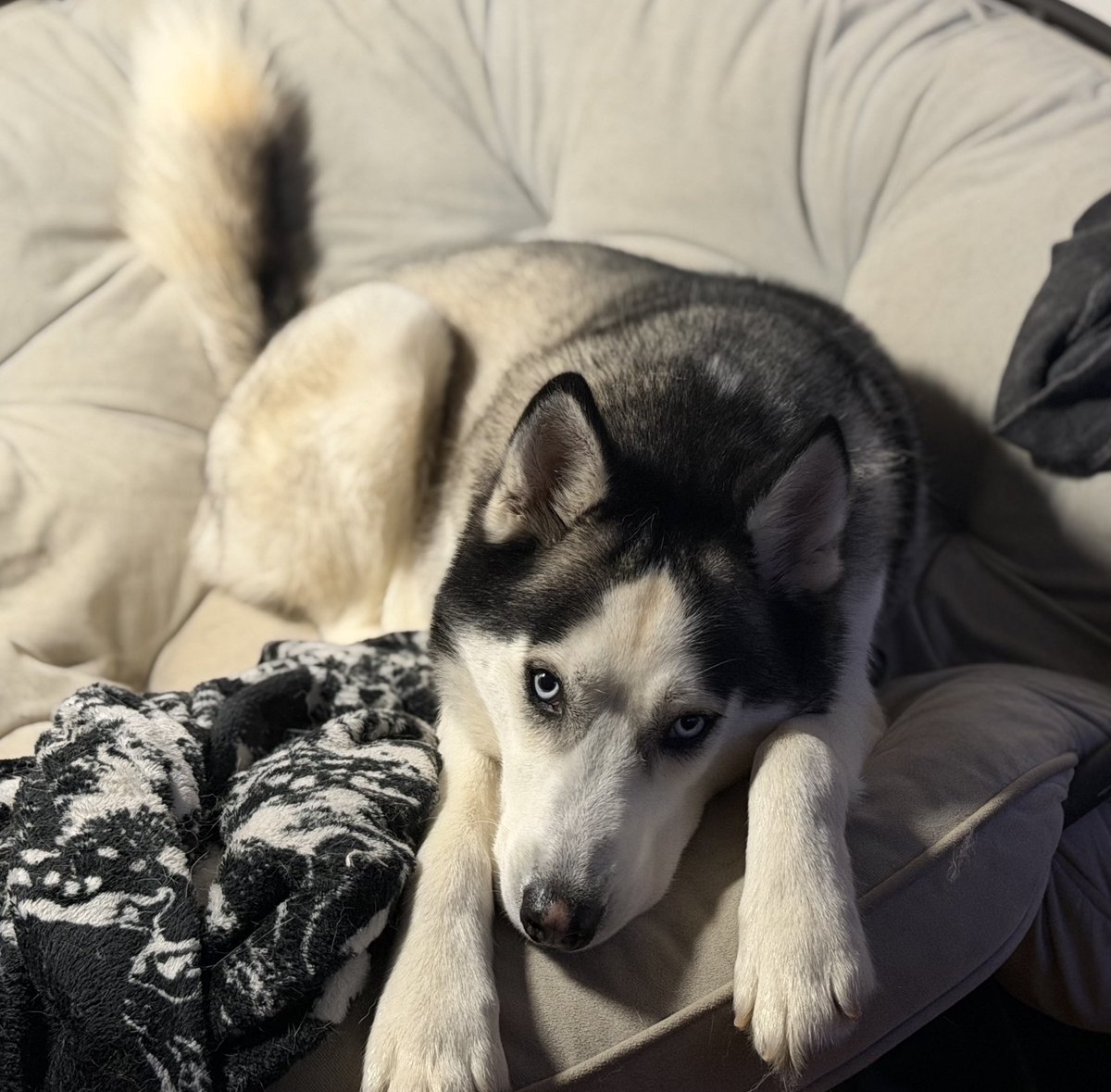 𝔪𝔬𝔯𝔤𝔦𝔢 tweet media