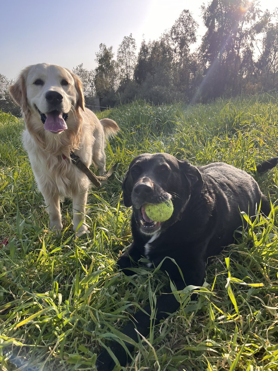 Stephanie Quick tweet media