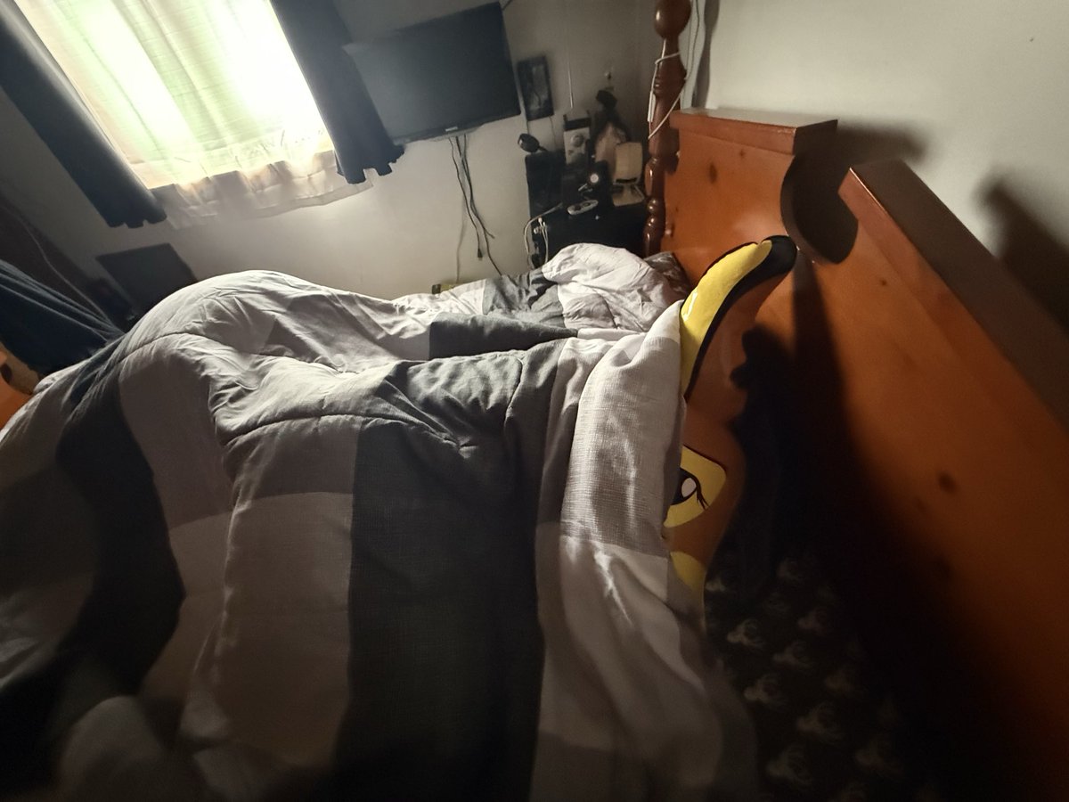 Nøurs 🧸⚡️🐻 tweet media