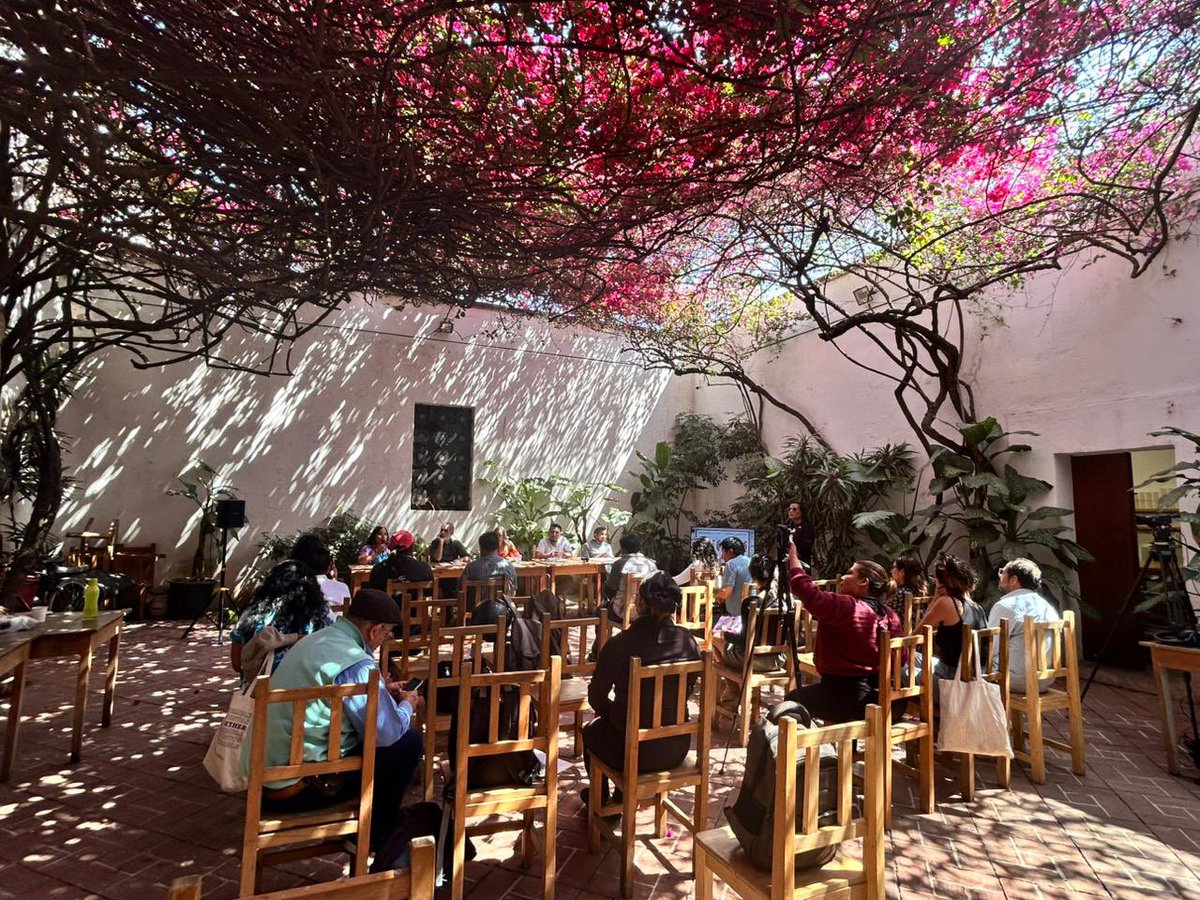 Guille Edith Leyva tweet media