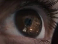 ash⋆˙⟡ tweet media