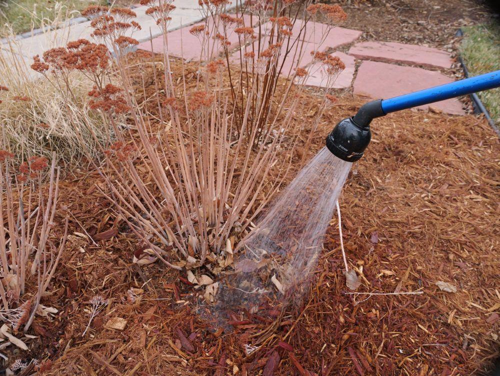 Denver Water tweet media