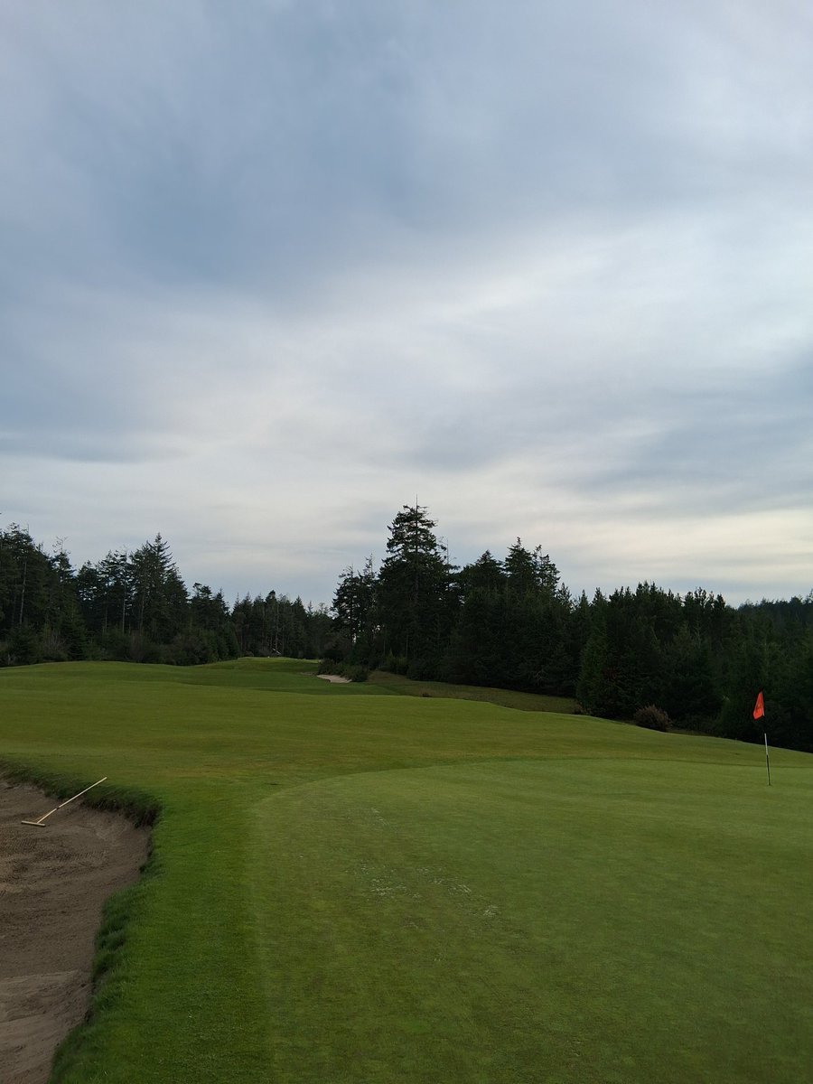 My only eagle at bandon, hole #8 trails 321 yard par 4