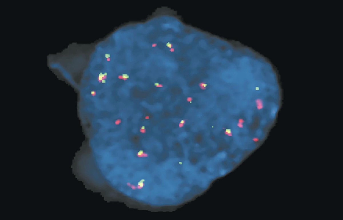 Charlie Herndon tweet media