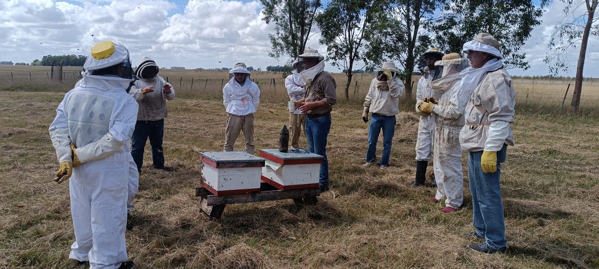 INTAProapi tweet media