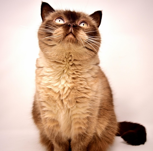 David Chalk tweet media