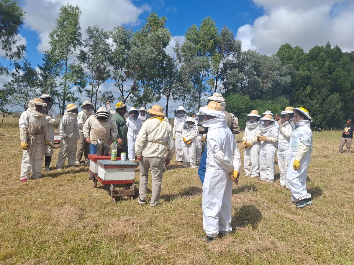 INTAProapi tweet media