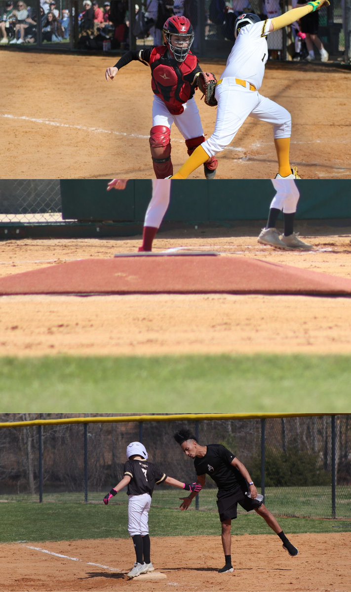 The Performance Academy tweet media