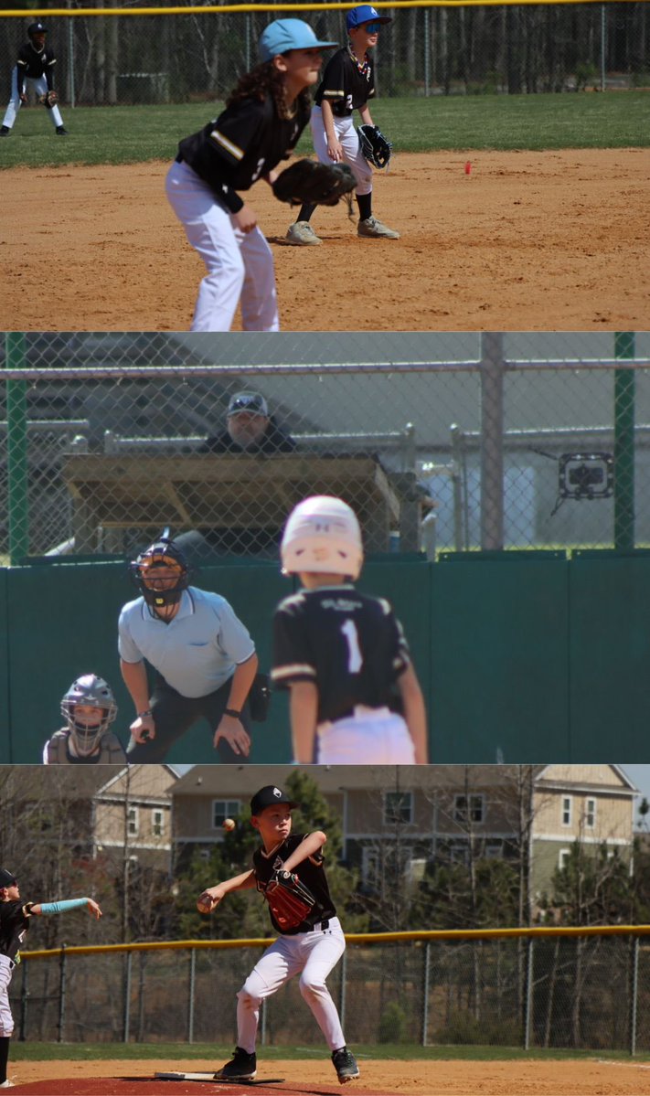 The Performance Academy tweet media