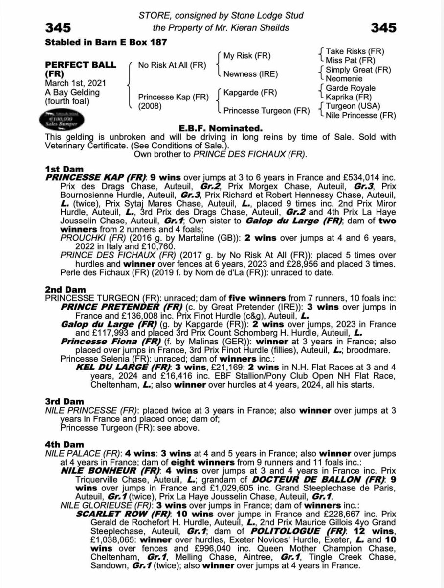 TMBloodstock's tweet photo. In the Exeter bumper River Kwai takes no prisoners and wins very nicely on racecourse debut for @PFNicholls @CobdenHarry
The No Risk At All gelding is a @Tattersalls_ie Derby Sale graduate from the family of Politologue.
Congratulations to Mrs Kathy Stuart 👏 https://t.co/hw85Beh4j3