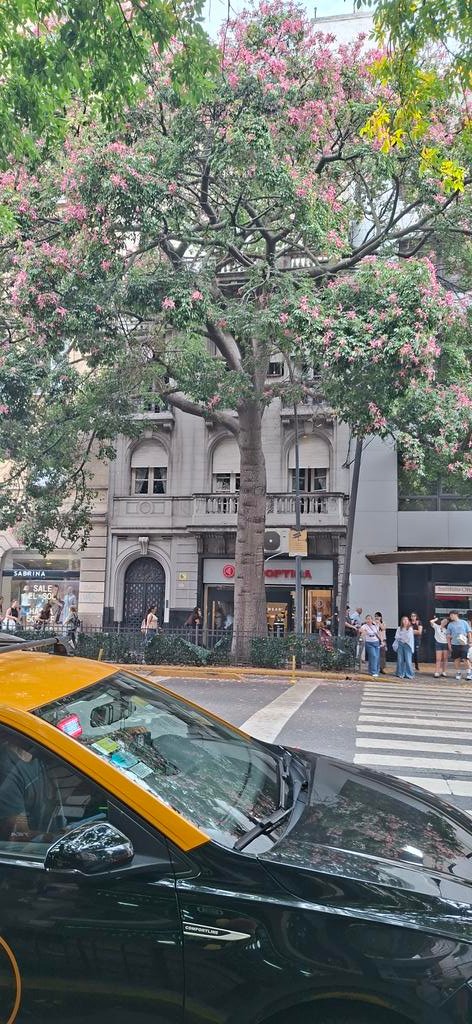 Pablo M. Shiff tweet media