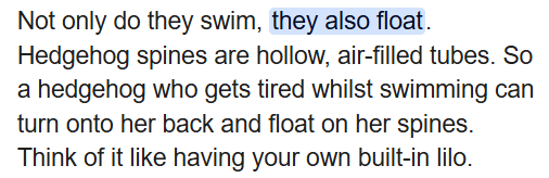 Diego Rafael tweet media