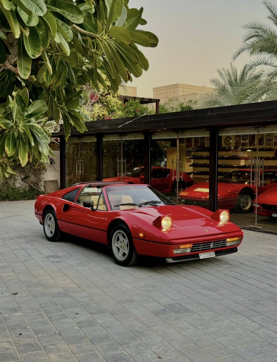 ๐ต๐๐๐๐๐๐ ๐ฟ๐๐๐ tweet media