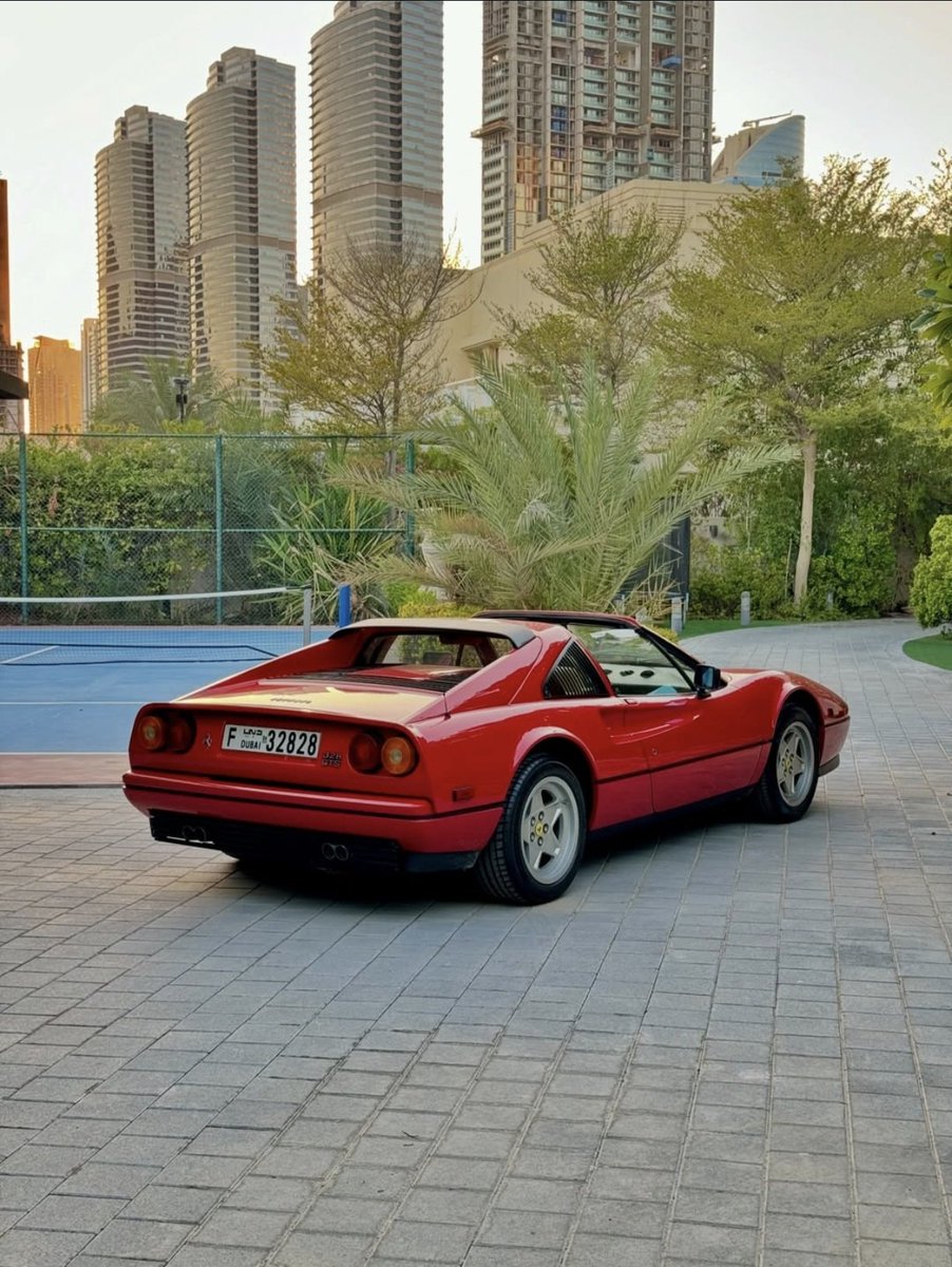 ๐ต๐๐๐๐๐๐ ๐ฟ๐๐๐ tweet media