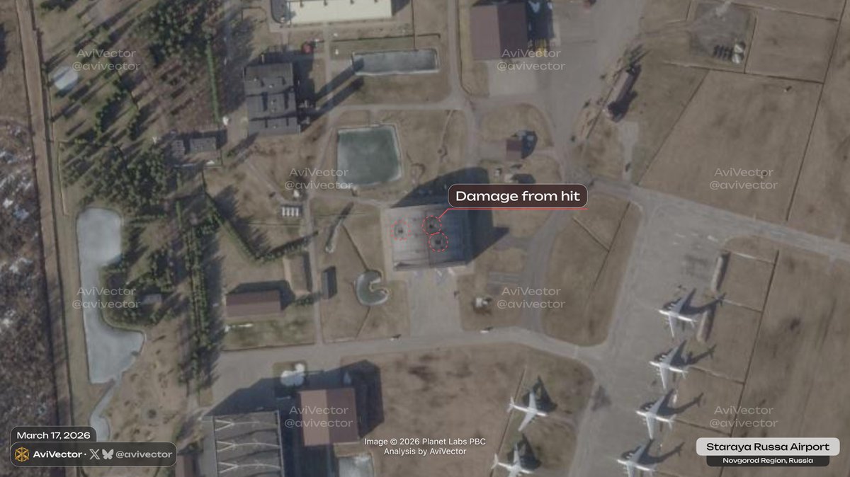 AviVector tweet media