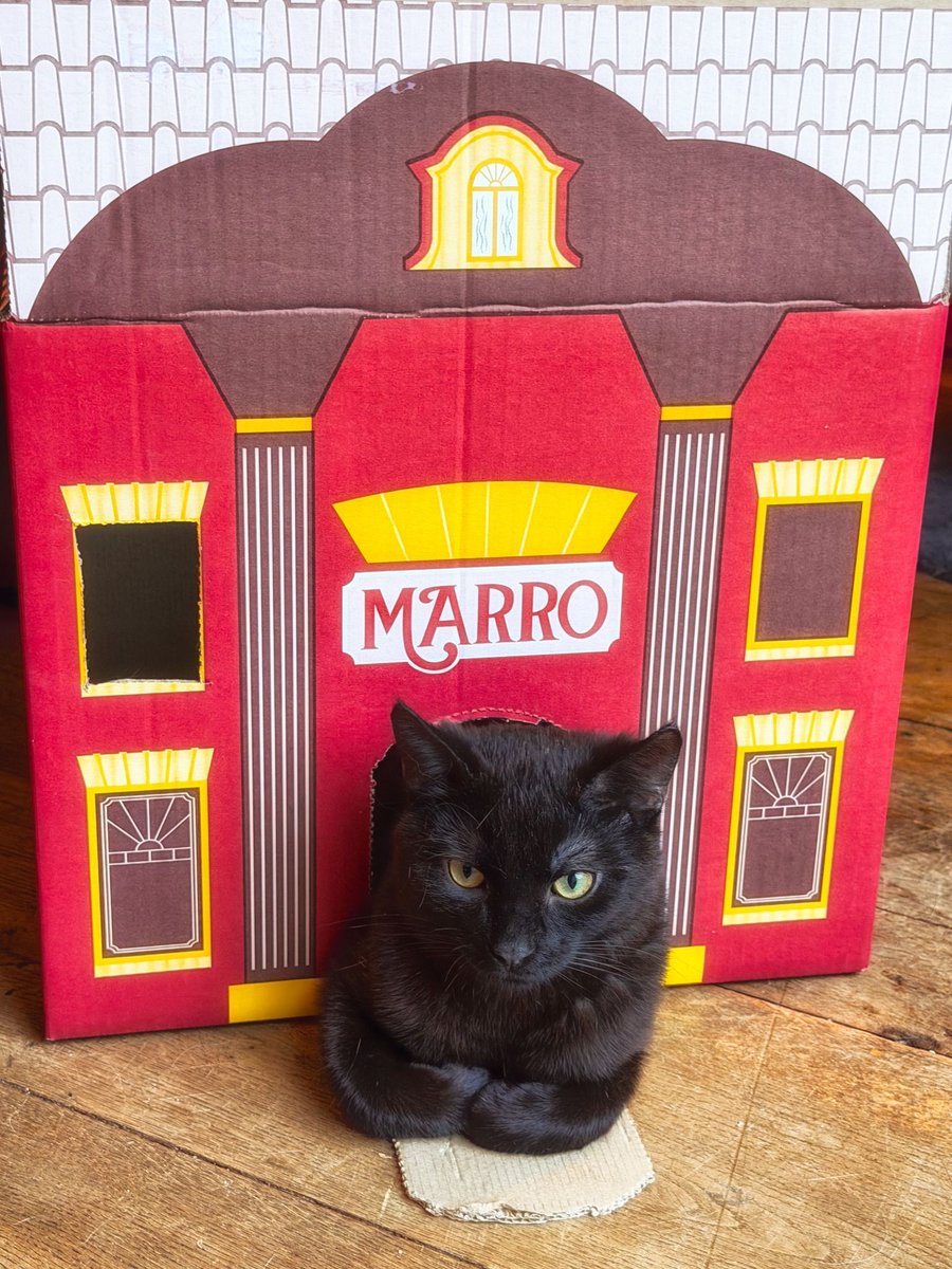 cats with jobs 🛠 tweet media