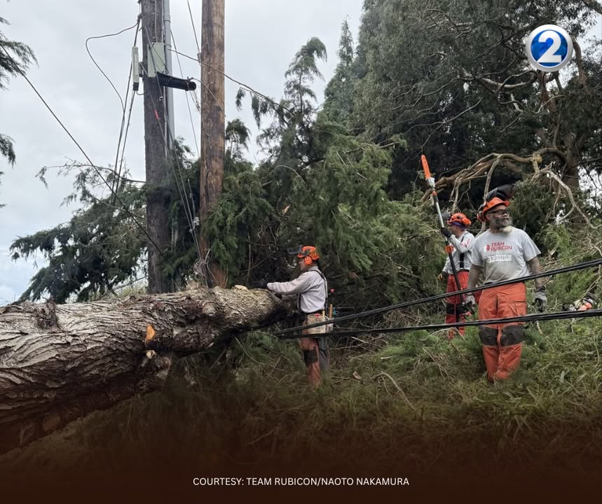 KHON2 News tweet media