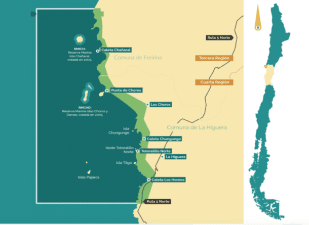 Electric Wizard tweet media