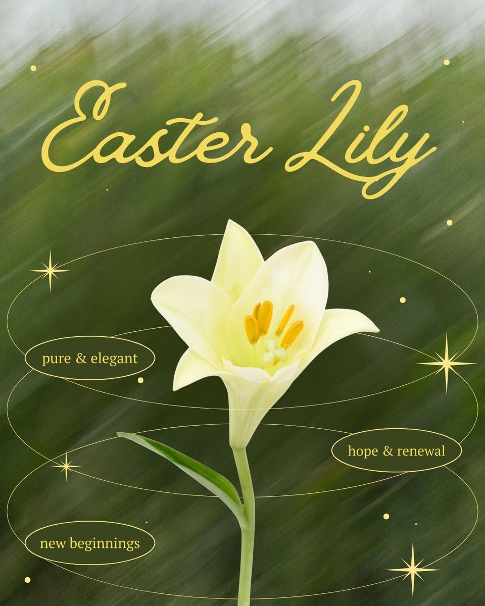 Central Sq Florist tweet media