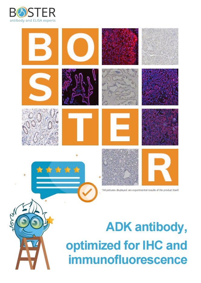 Boster Bio tweet media