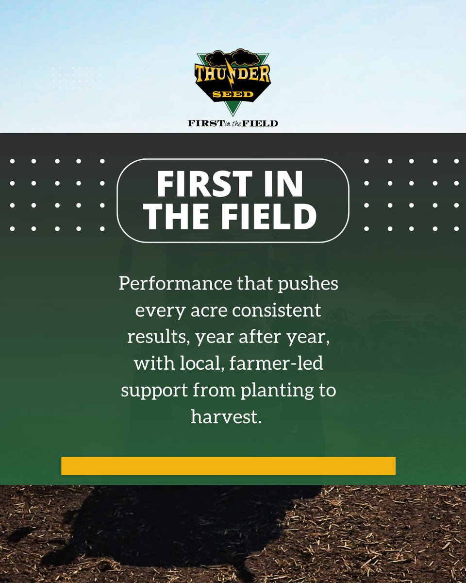 Thunder Seed tweet media