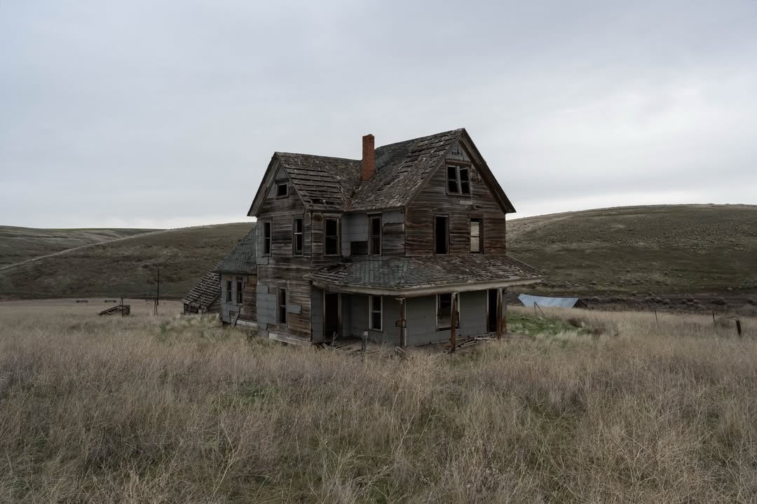 𝘄𝗮𝗻𝗱𝗲𝗿𝘁𝗿𝗮𝘃𝗲𝗹𝘀 tweet media