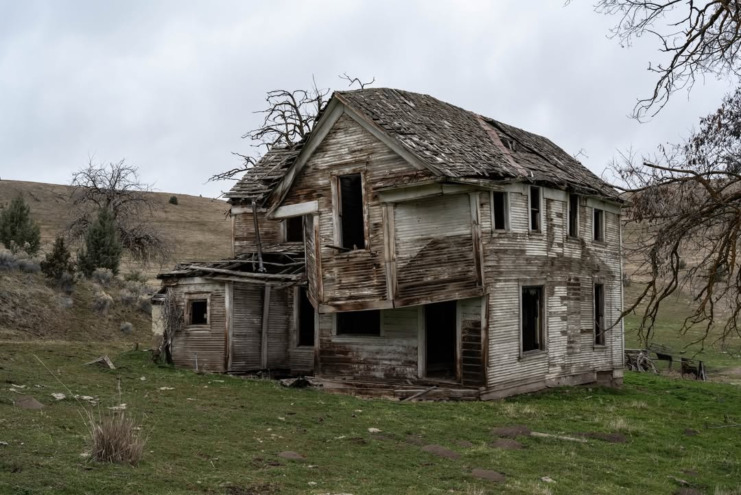 𝘄𝗮𝗻𝗱𝗲𝗿𝘁𝗿𝗮𝘃𝗲𝗹𝘀 tweet media