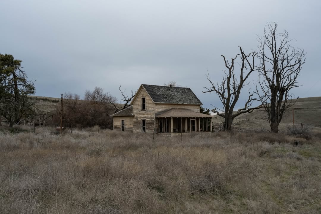 𝘄𝗮𝗻𝗱𝗲𝗿𝘁𝗿𝗮𝘃𝗲𝗹𝘀 tweet media