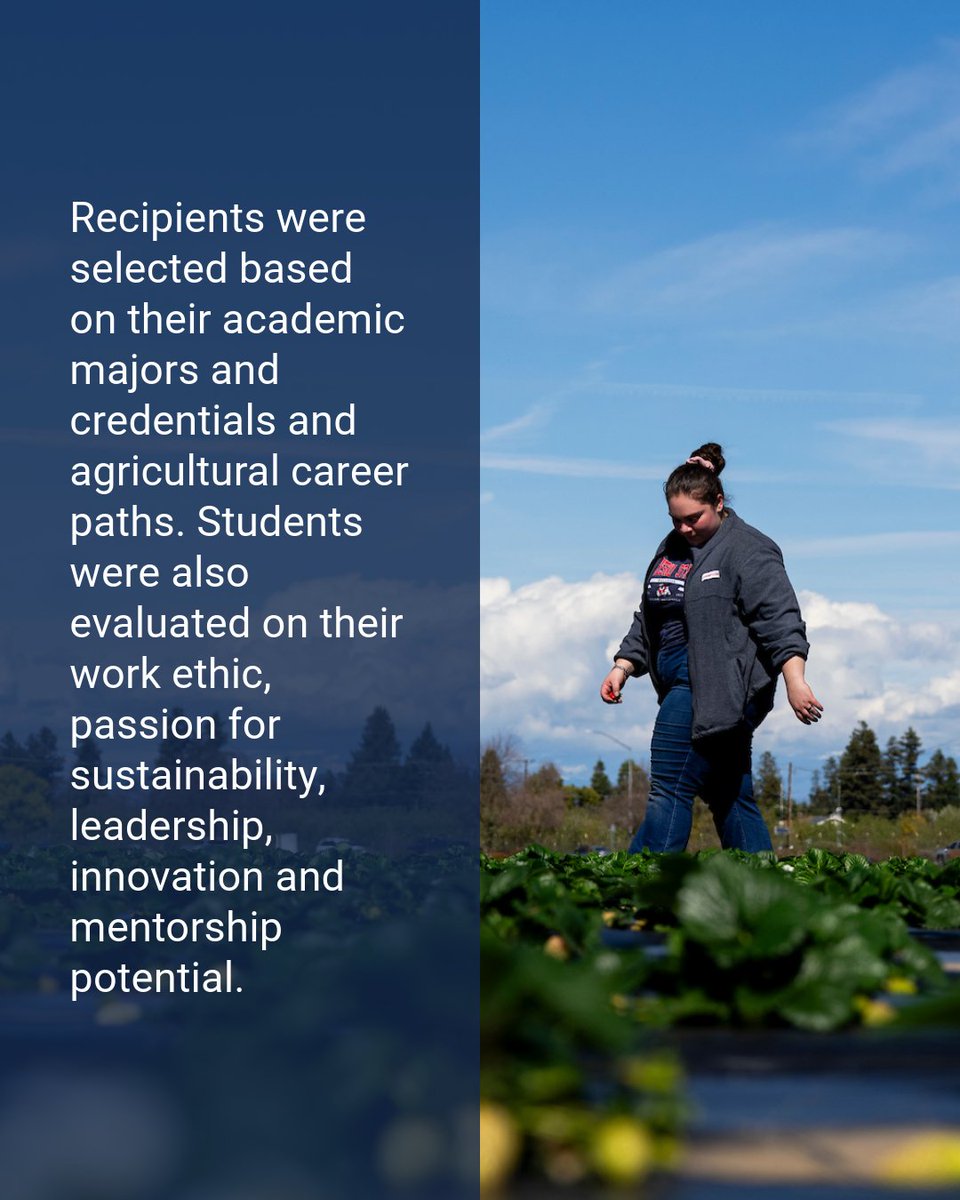 Fresno State tweet media