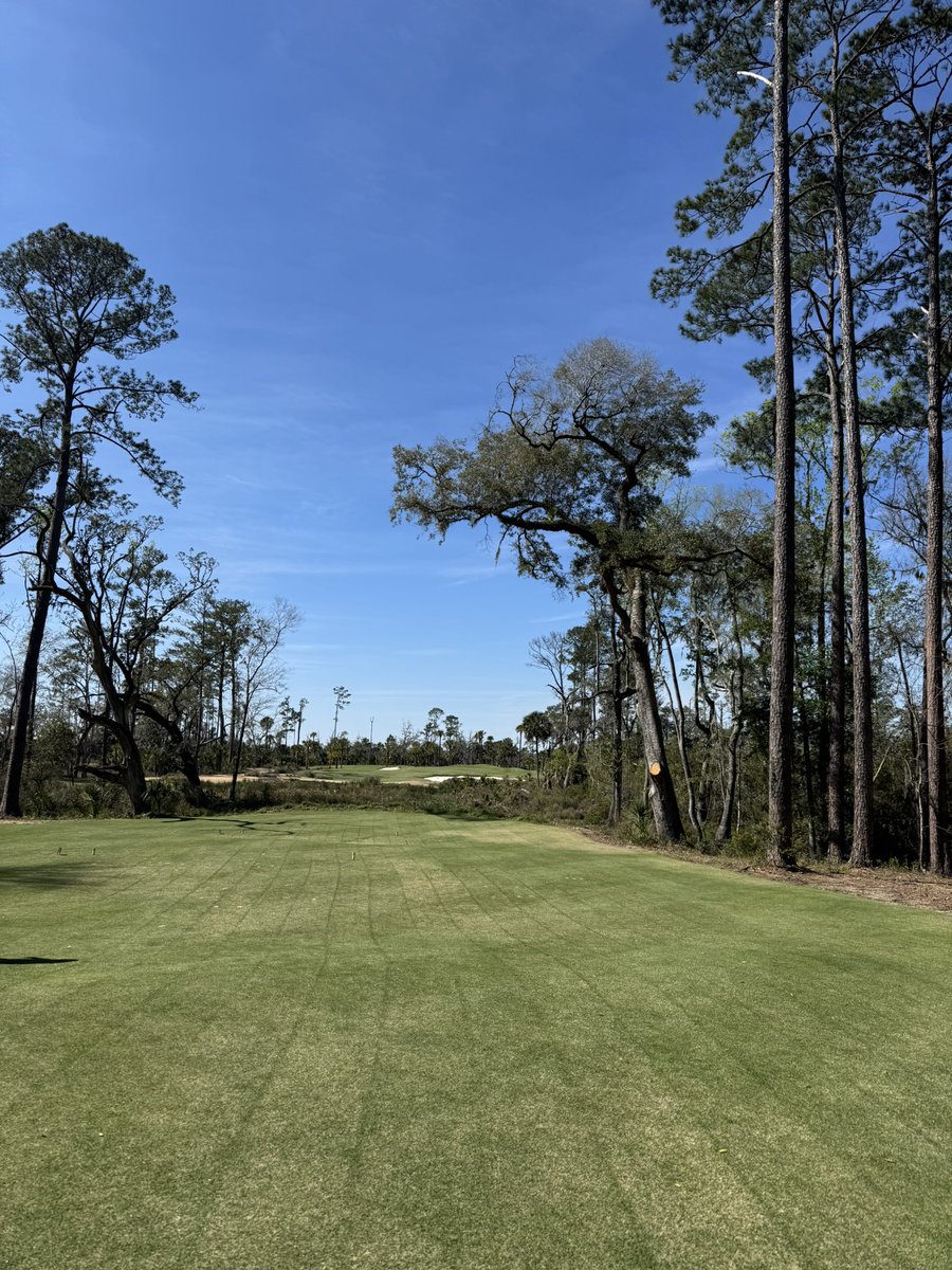 AOCsThong's tweet photo. Happy St. Patty’s. Not sure you can beat this place #letsgolf https://t.co/iyNN1h6PsU