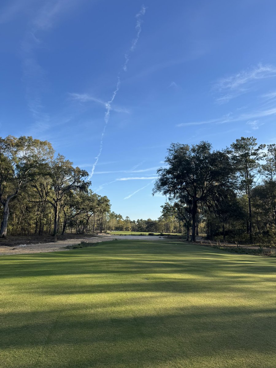 AOCsThong's tweet photo. Happy St. Patty’s. Not sure you can beat this place #letsgolf https://t.co/iyNN1h6PsU