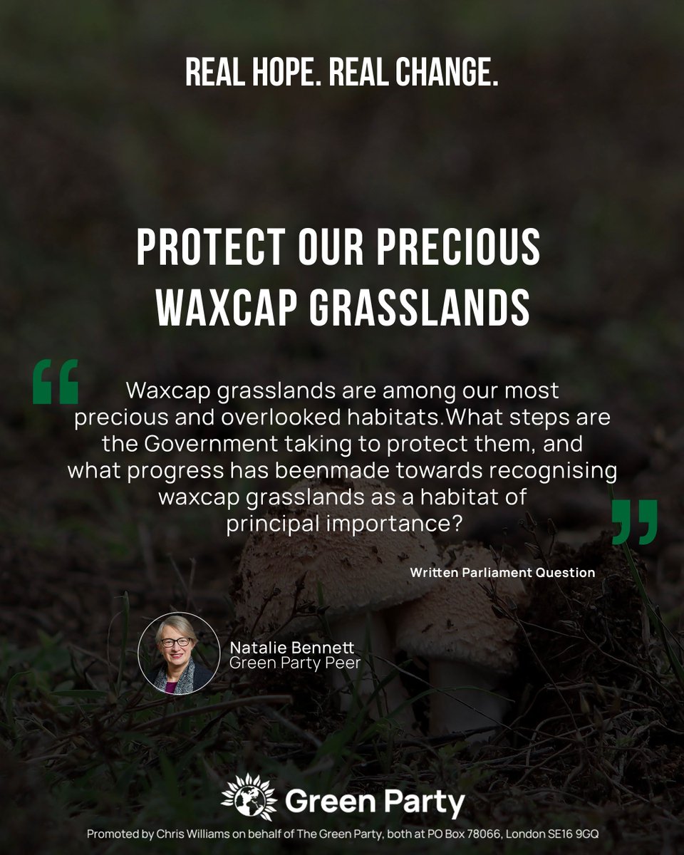 Natalie Bennett tweet media