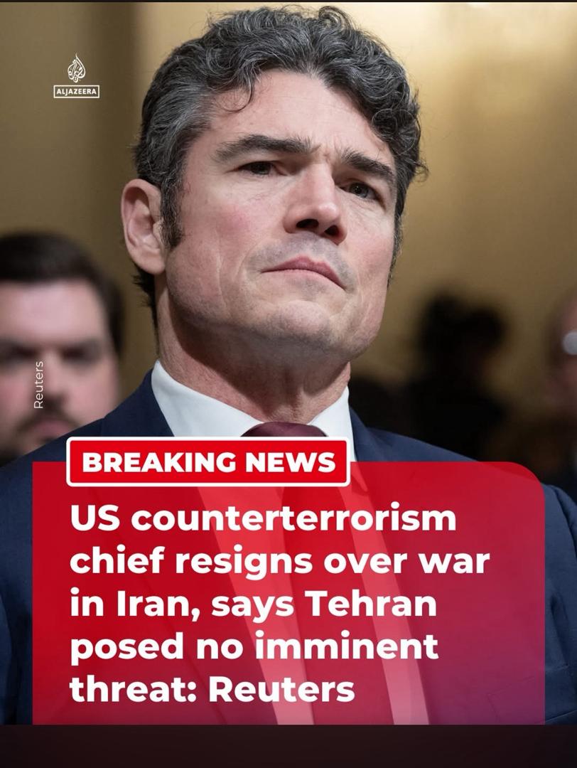 Don VIP Domain tweet media