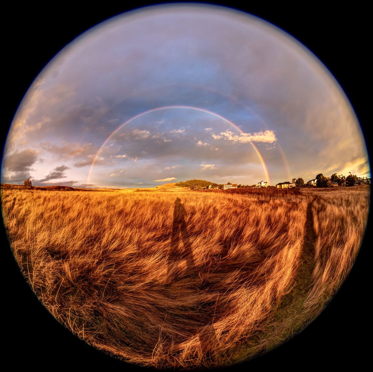 Bureau of Land Management - National tweet media