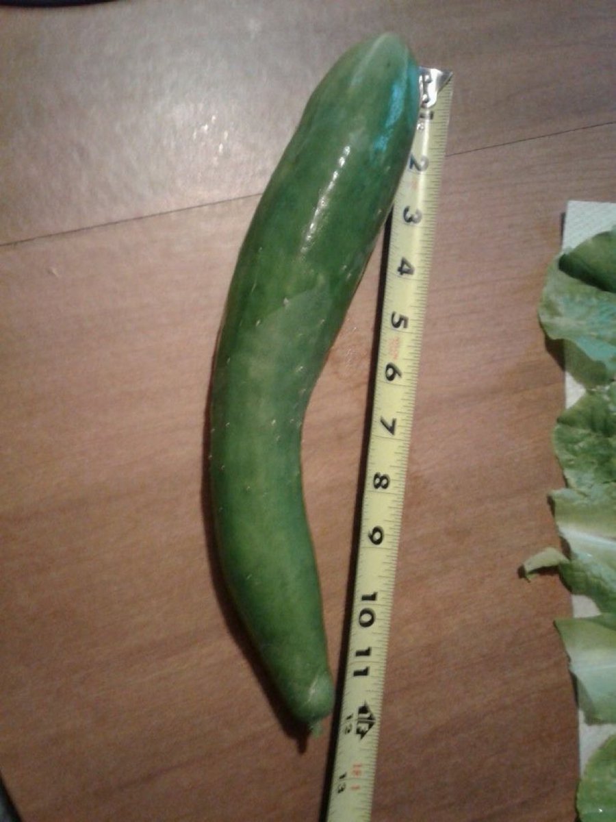 🥺💗 tweet media