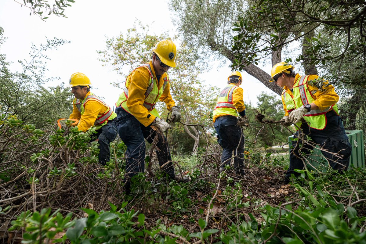 SBCityFirePIO tweet media