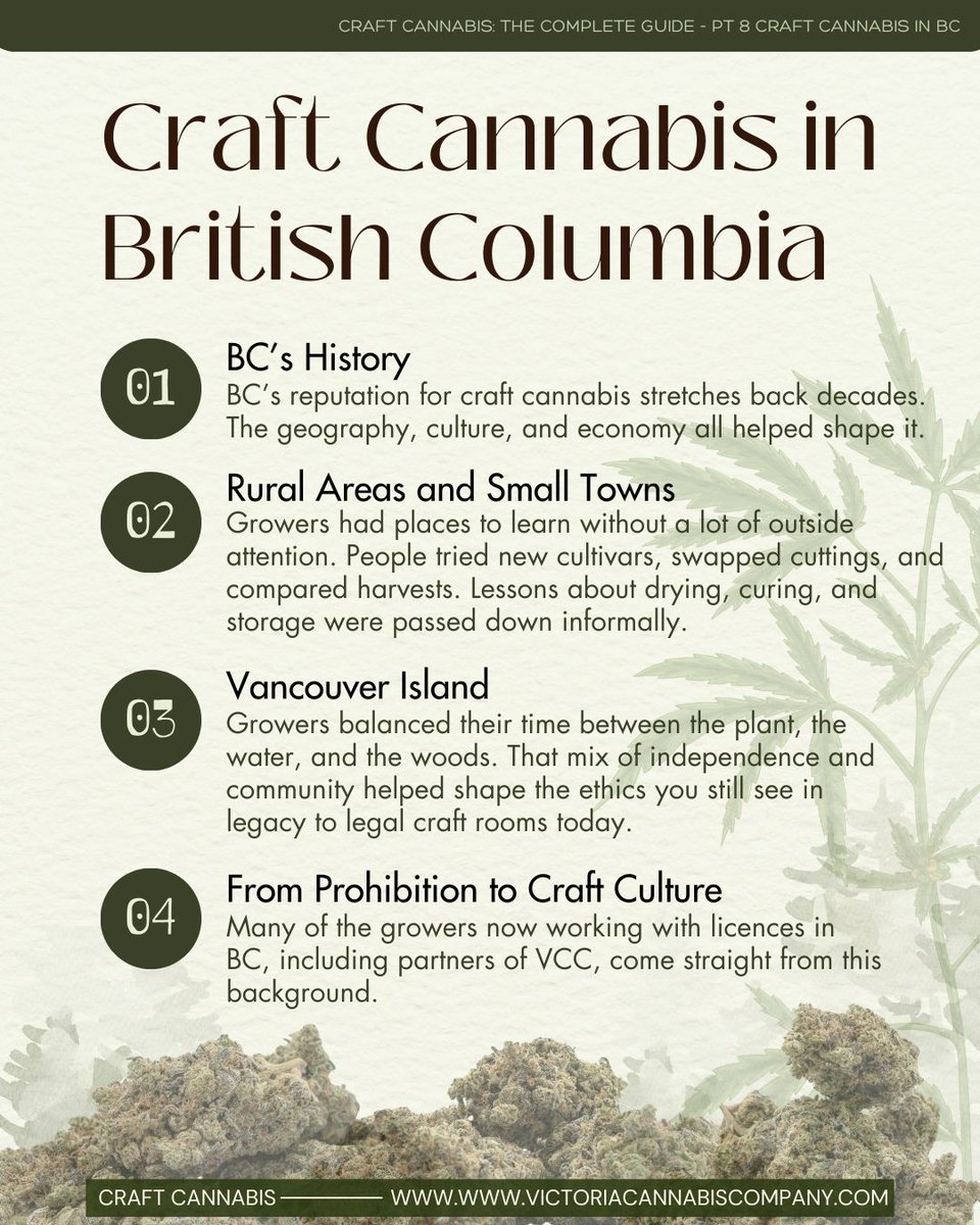 The Victoria Cannabis Company tweet media