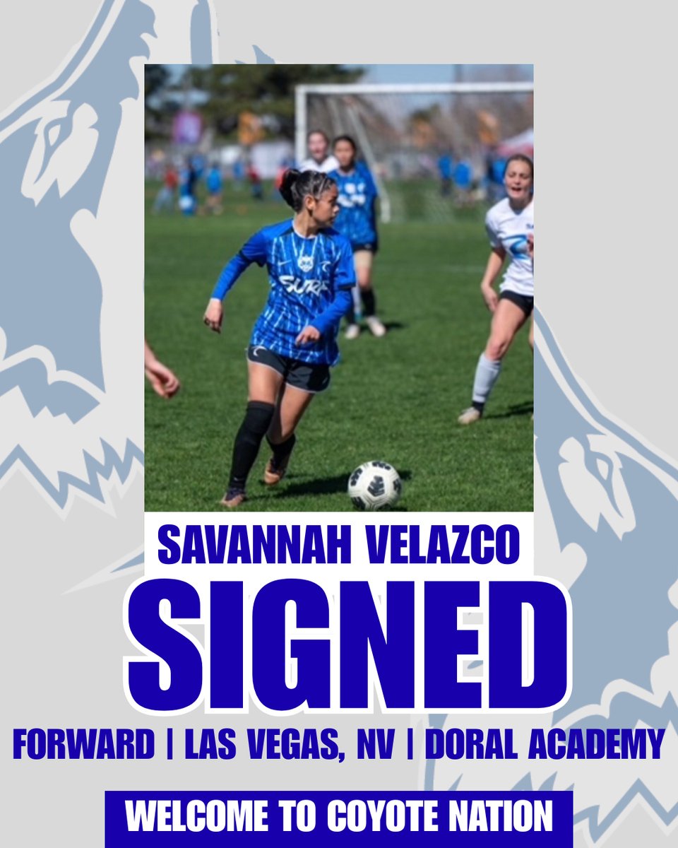 CSN_Women's Soccer tweet media