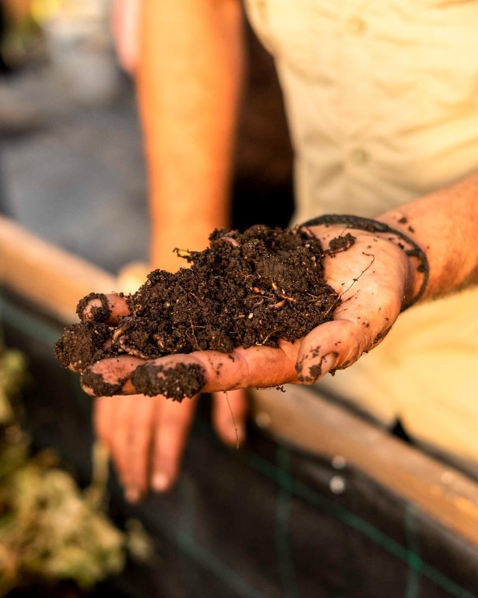 Stockholm School of Entrepreneurship tweet media