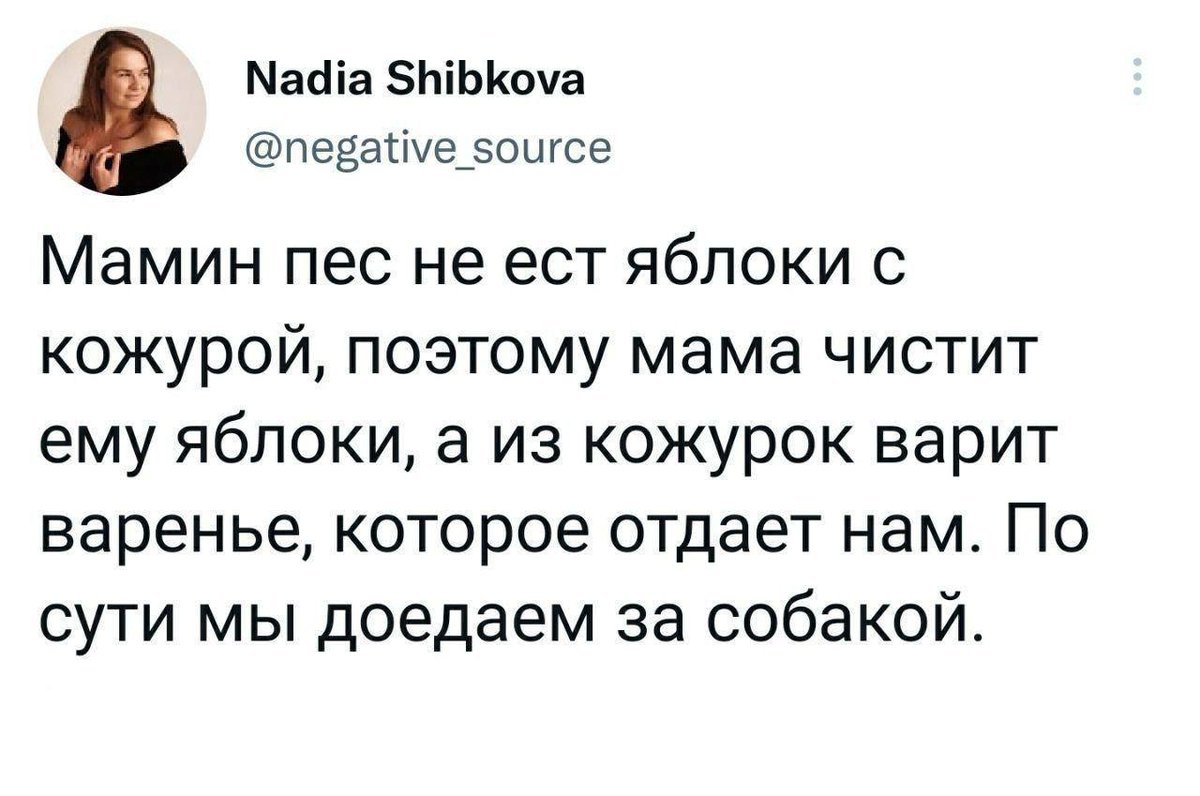 MCMLXXXIV™ tweet media