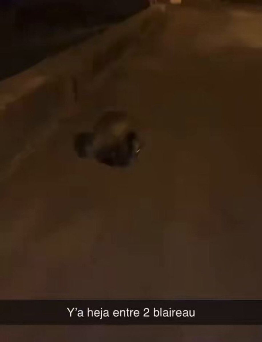 🍉 rimith tweet media