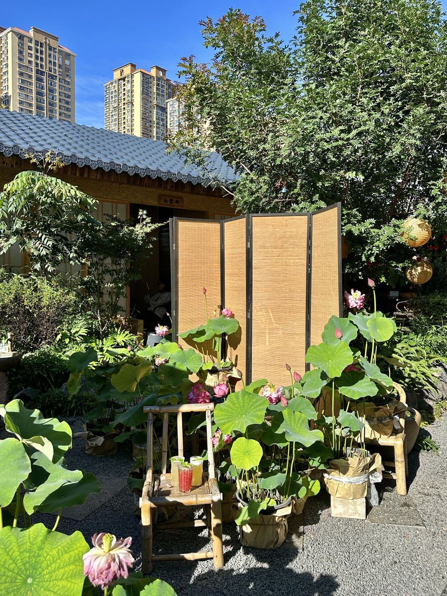 kamilo naxo xdxd tweet media