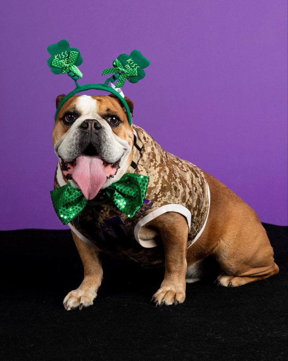 Brandon Kreczmer tweet media